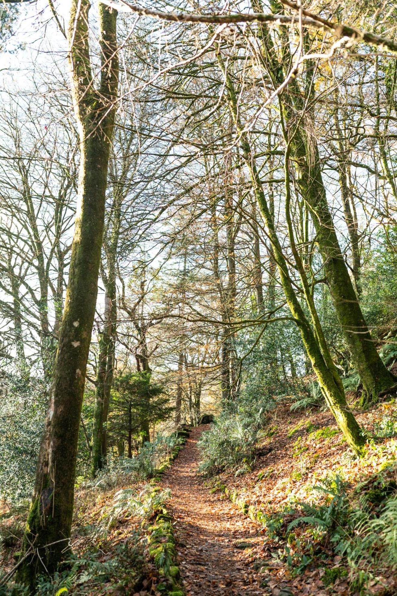 Lancrigg Hotel Grasmere Luaran gambar